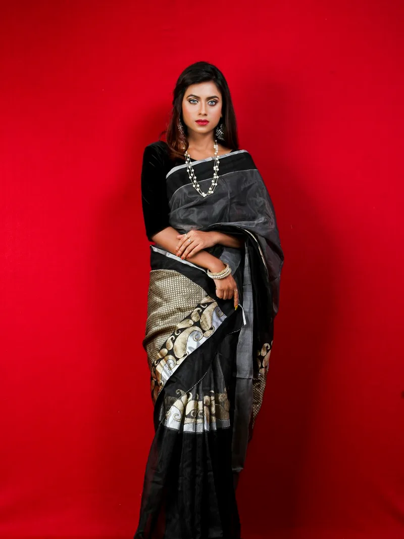 Alpha Black Banarasi Saree with Silver Zari