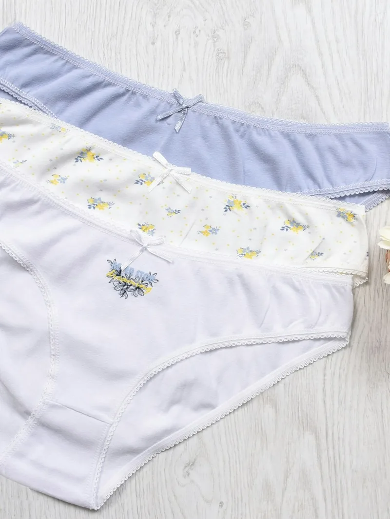 Alpha Pastel Full Brief Panties - Pack of 3
